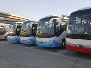 2019 重慶到 沭陽(yáng)大巴 每日多班